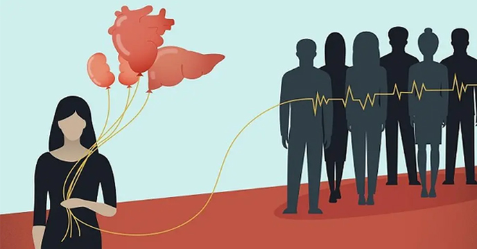 Organ Donation