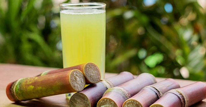 Sugarcane