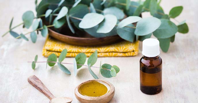 Natural Remedies for Congestion Relief