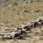 afghan resistance force