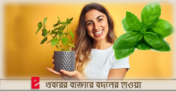 benefits of basil leaves