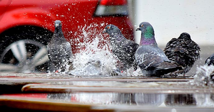 Kolkata rain ekolkata24