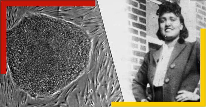 Henrietta Lacks