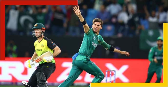 afridi-son-in
