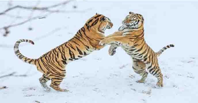 IMG 20211230 WA0008