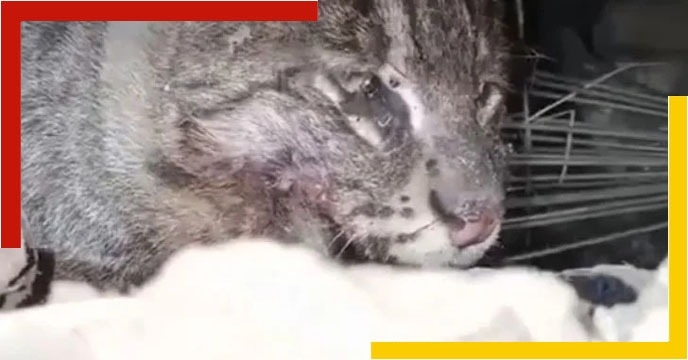 IMG 20220102 WA0019