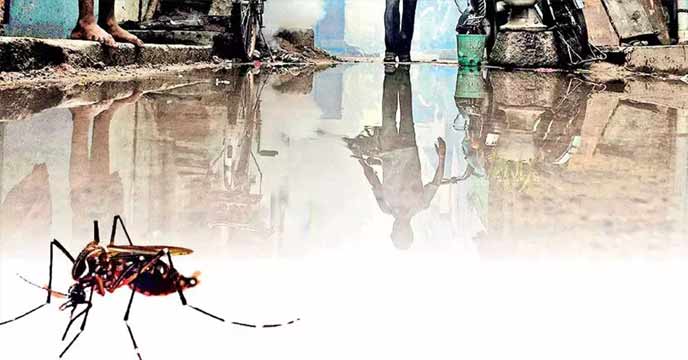 Dengue West Bengal,