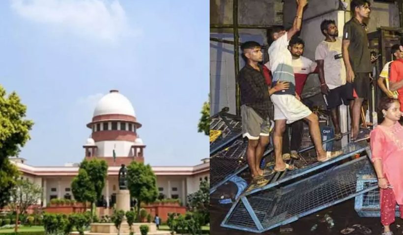 RG SC
