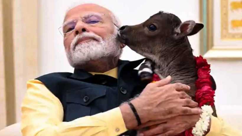 pm