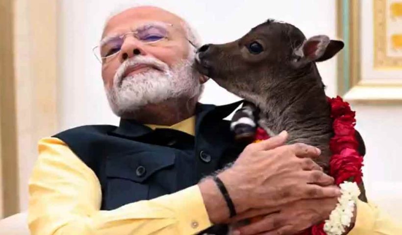 pm