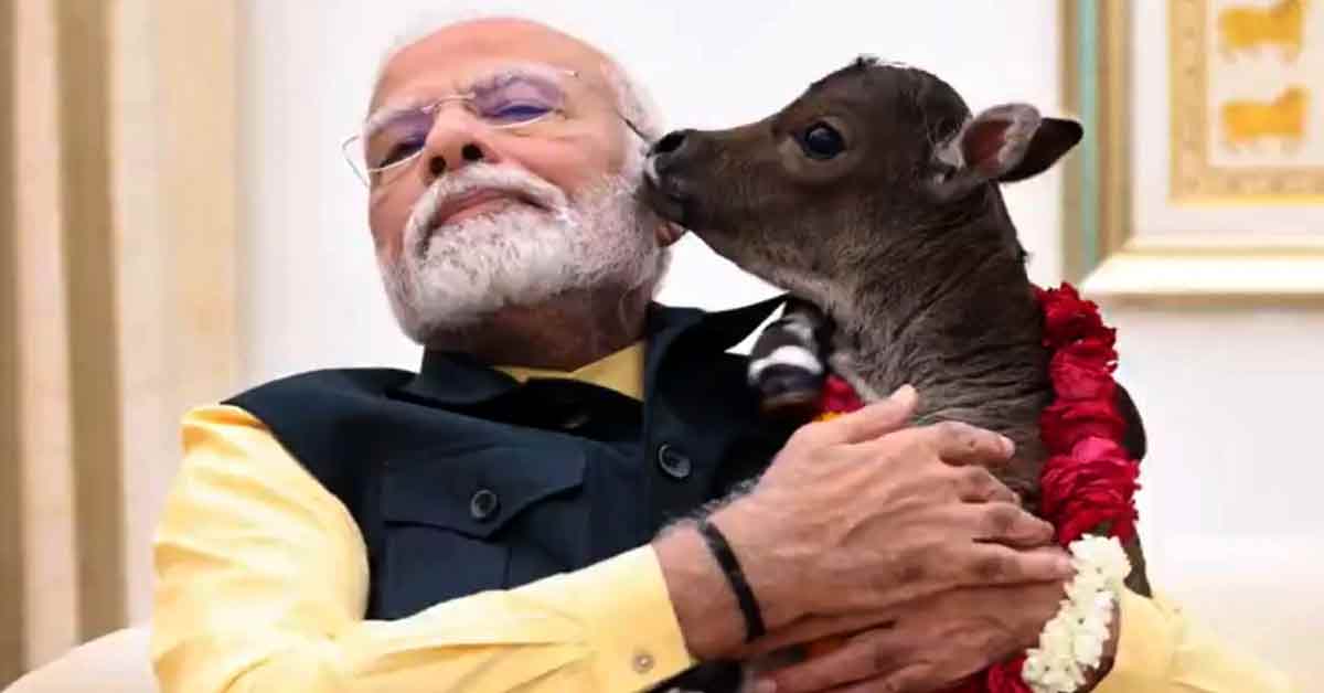 pm
