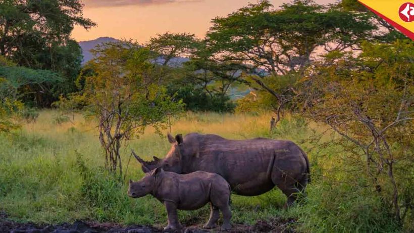 Dooars Forests, Wildlife Breeding, Three-Month Closure, Tourism Halt