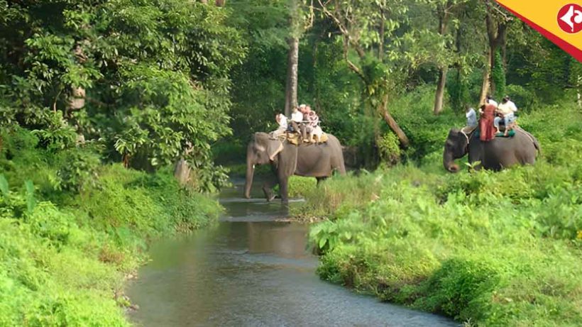 Duars ,monsoon tourism, River fish festival , Nodiyali fish festival, West Bengal eco tourism