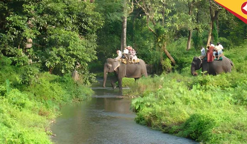 Duars ,monsoon tourism, River fish festival , Nodiyali fish festival, West Bengal eco tourism