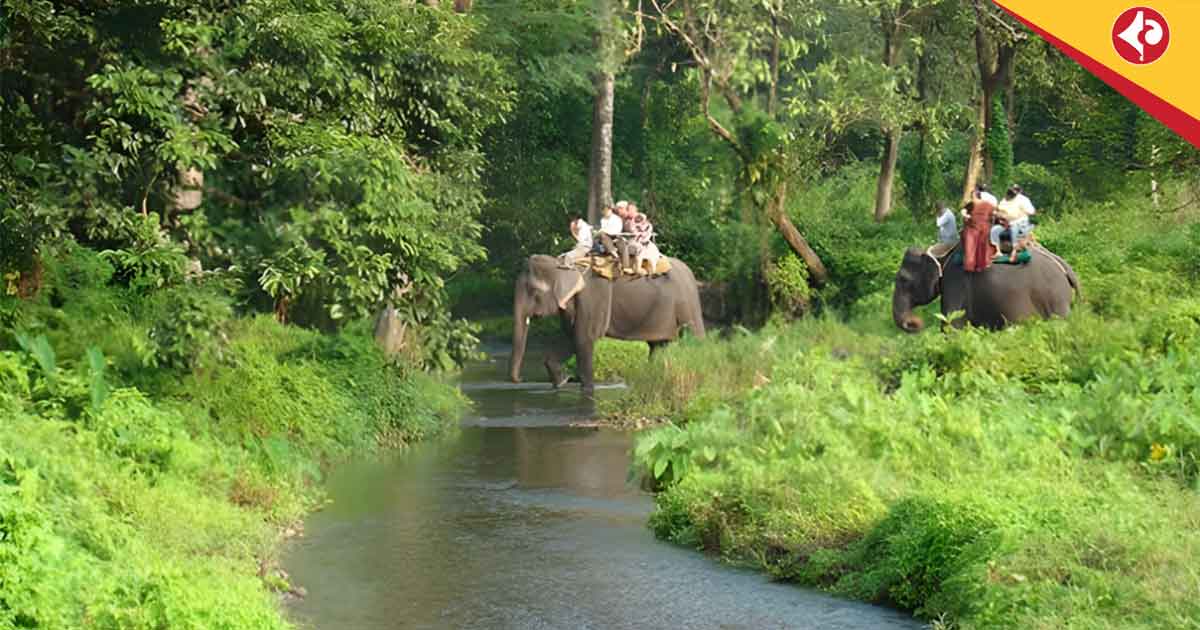 Duars ,monsoon tourism, River fish festival , Nodiyali fish festival, West Bengal eco tourism