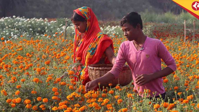 Mamata Banerjee Flower Market in Debra Lies Unused 4 Years After Inauguration