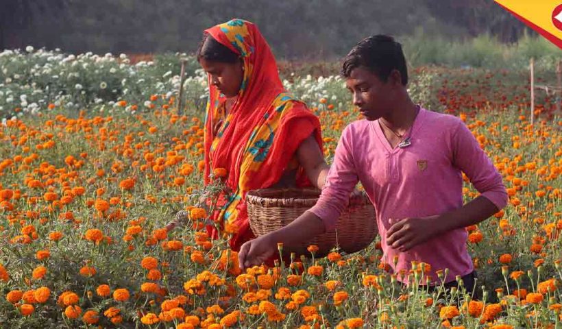 Mamata Banerjee Flower Market in Debra Lies Unused 4 Years After Inauguration