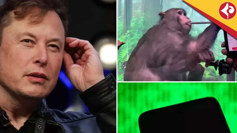 Neuralink Claims Success in Monkey Brain Test