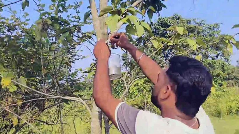 North Bengal KamakhyaguriVolunteers Provide Water for Birds Amid Heatwave