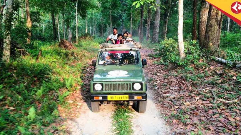Gorumara National Park,Kaziranga , Anti-poaching measures in Bengal, Forest department surveillance