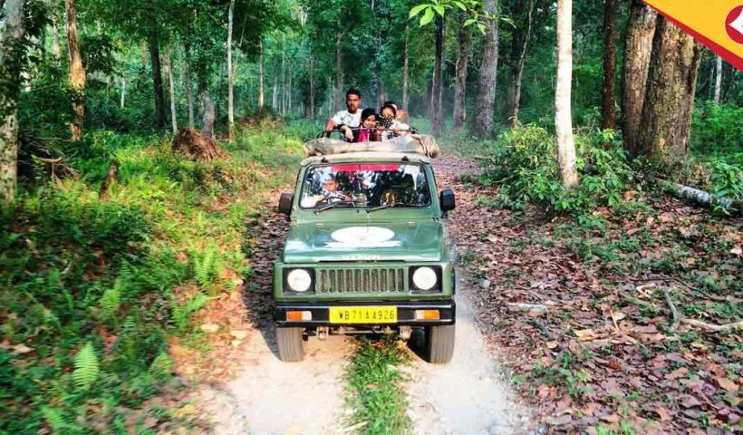 Gorumara National Park,Kaziranga , Anti-poaching measures in Bengal, Forest department surveillance