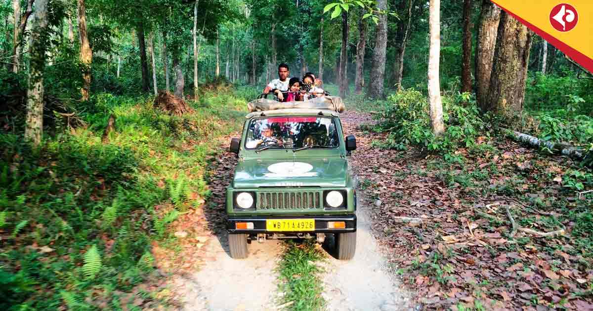 Gorumara National Park,Kaziranga , Anti-poaching measures in Bengal, Forest department surveillance