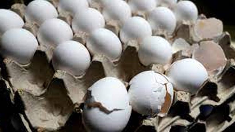 first-paneer-now-eggs-whats-cooking-in-indias-food-crisis