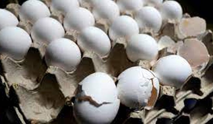first-paneer-now-eggs-whats-cooking-in-indias-food-crisis